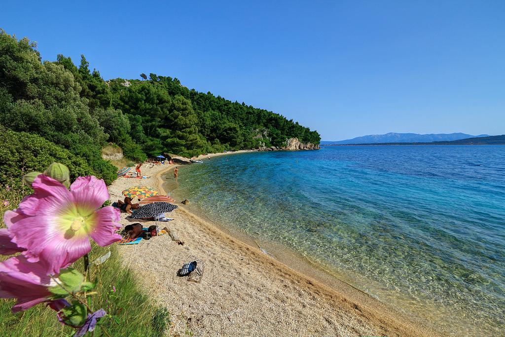 Camp Dole Zivogosce - Mobile Home And Glamping Tent Živogošće Exterior foto